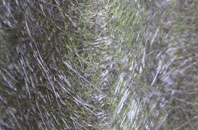 Waldringfield fibreglass roof work